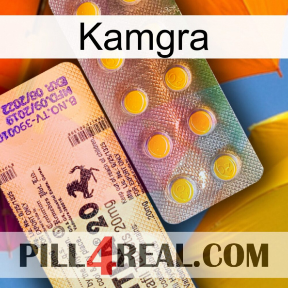 Kamgra new06.jpg